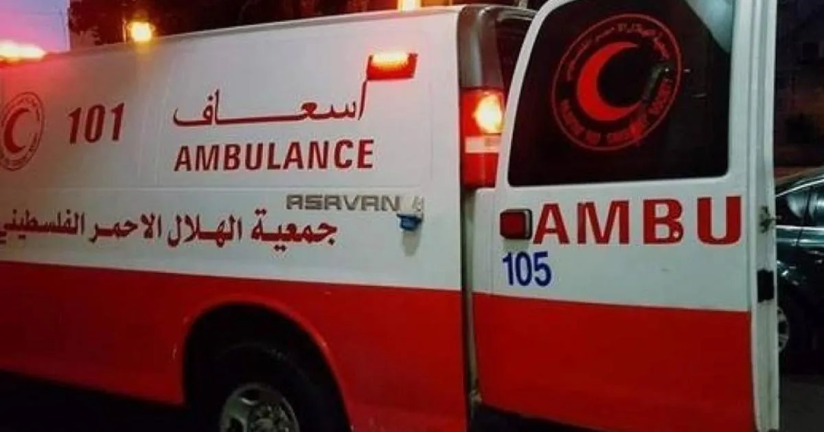 مصرع مواطنين وإصابة ثلاثة آخرين في حادث سير في بني نعيم